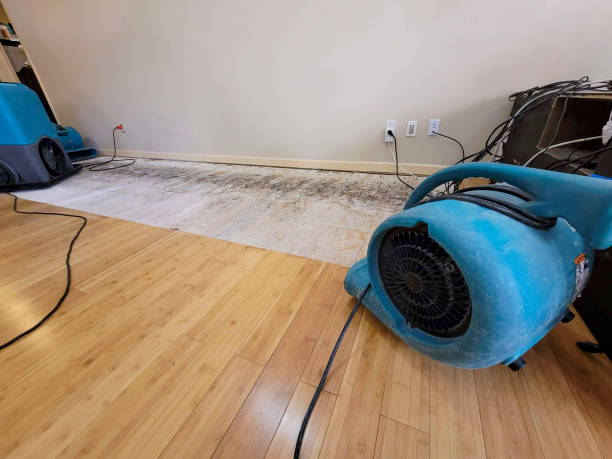 Professional Basement Flood Cleanup technician working in Mount Calm, TX