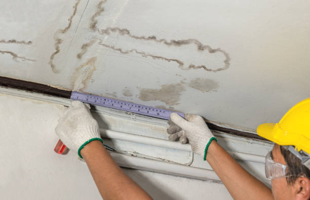 Affordable Basement Flood Cleanup solutions in Mount Calm, TX